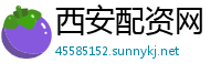 西安配资网